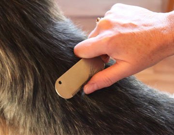 Stripping Knife for Dog Grooming