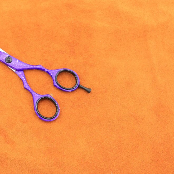 colored scissor
