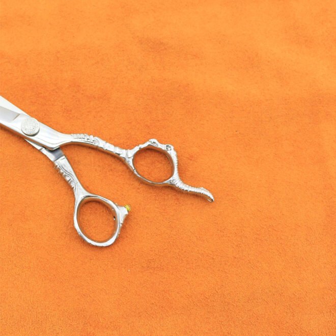 salon hair scissor
