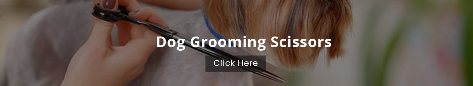 Dog Grooming scissors category